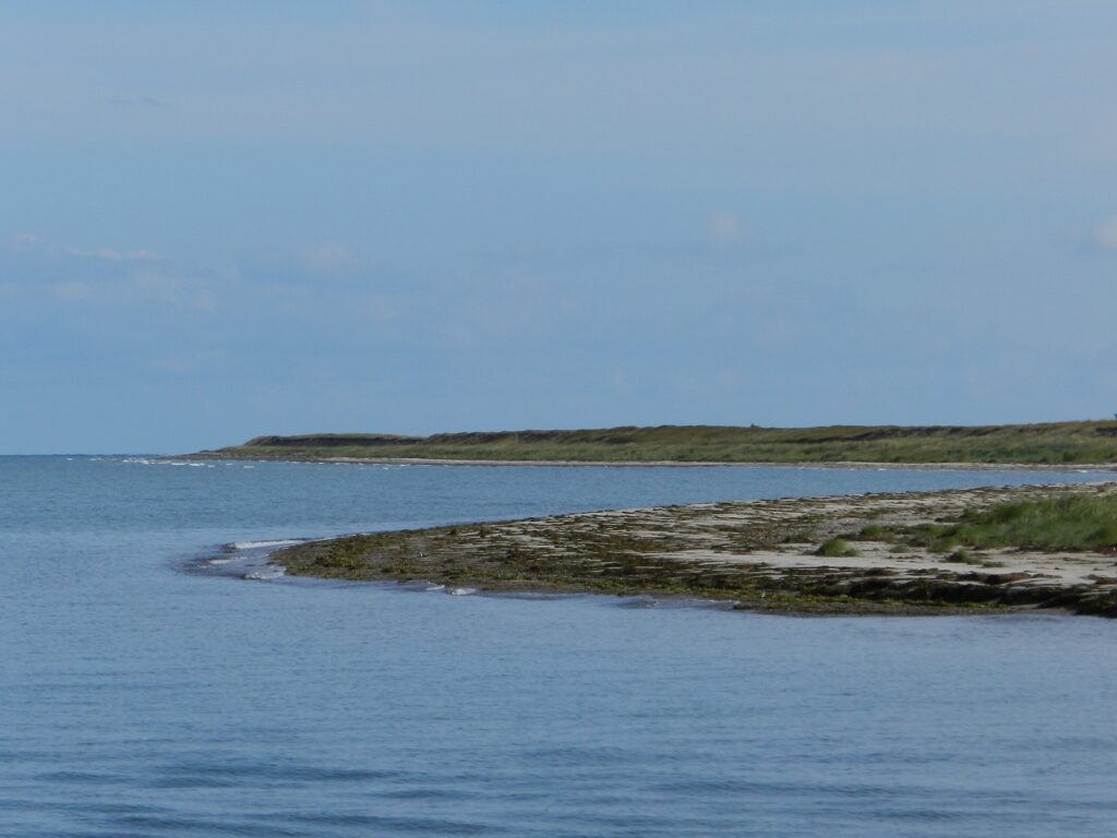 Auf dem Bild befindet sich unter anderem das geschwungene Ufer des Gellen auf der Insel Hiddensee.